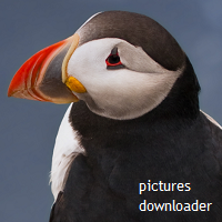 Bing Pictures Downloader