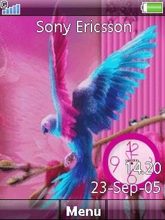 Bird Clock