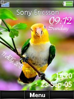 Bird Digital Clock