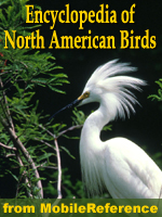 The Illustrated Encyclopedia Of North American Birds