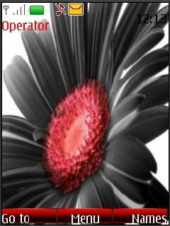 Black Flower