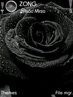 Black Rose