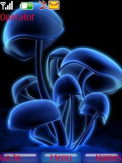 Blue Appeal