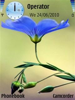 Blue-Flower