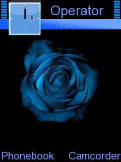Blue Rose 1