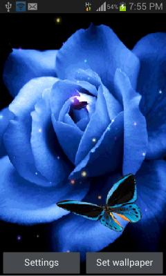 Blue Rose Butterflyy LWP