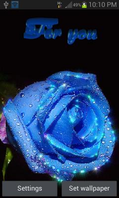 Blue Rose For You LWP