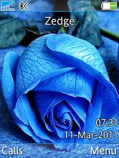 Blue Rose