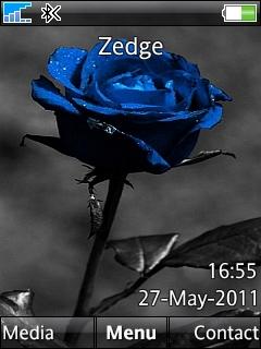 Blue Rose