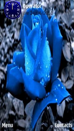 Blue Rose