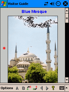 Visitor Guide Istanbul (Blue Mosque)