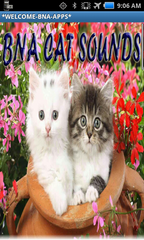 Bna Cat Sounds