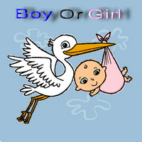 Boy Or Girl