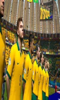 Brazil 2014Games