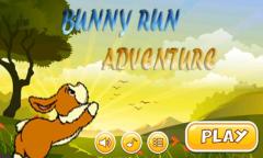 Bunny Adventure Game