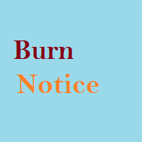 Burn Notice Fan Blog