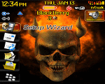 8800 Blackberry ZEN Theme: Burning Skull
