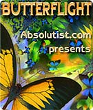 ButterFlight (Symbian)