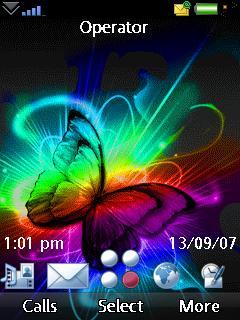 Butterfly