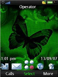 Butterfly