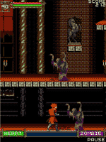 Castlevania: Order of Shadows