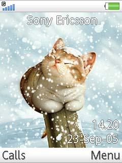 Cat In Snow
