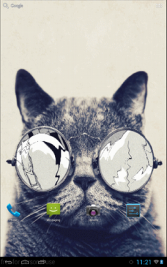 Cat with Glasses Live Wallpaper