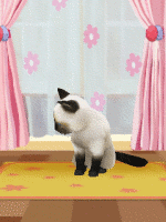 Cats - collection#1