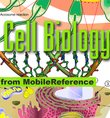 Cell Biology Quick Study Guide. FREE Cell chapter in trial version.
