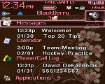8100 Blackberry TODAY Theme: Cherry Blossoms