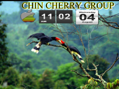 Chin Cherry Group