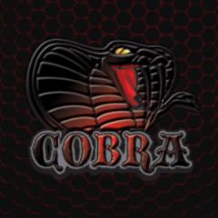 Cobra CFW Tools 1.27d: PSP Launchers Remote Play, and Increased Firmware Support