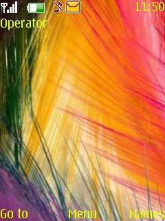 Colorful Feathers