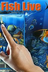 Colorful Fish Live Wallpaper