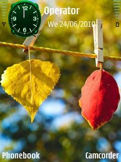 colorful leaves