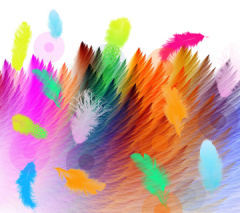 Colourful feathers