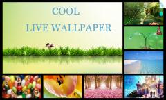 Cool Live Wallpapers HD