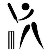 Cricket_fever