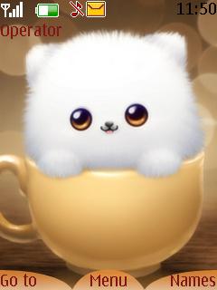 Cute Cat