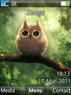 Cute Owl