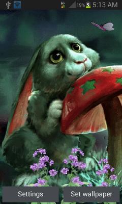Cute Rabbit Lwp