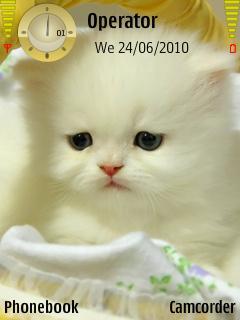 Cutie Cat