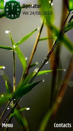 Dew Water Drops