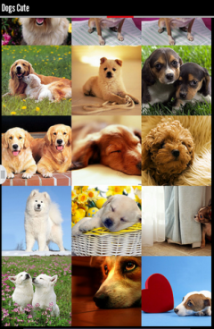 Dog Cute Wallpapers