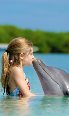 Dolphin Friendship Live Wallpaper