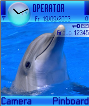 Dolphin