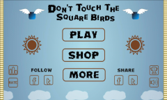 Dont Touch The Square Birds