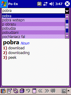 Polish-English and English-Polish computer dictionary