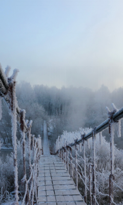 Enchanted Winter Bridge LWP