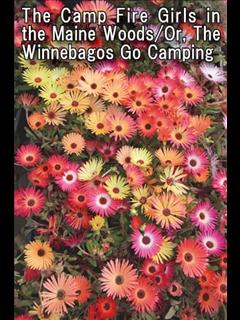 The Camp Fire Girls in the Maine Woods/Or, The Winnebagos Go Camping (ebook)